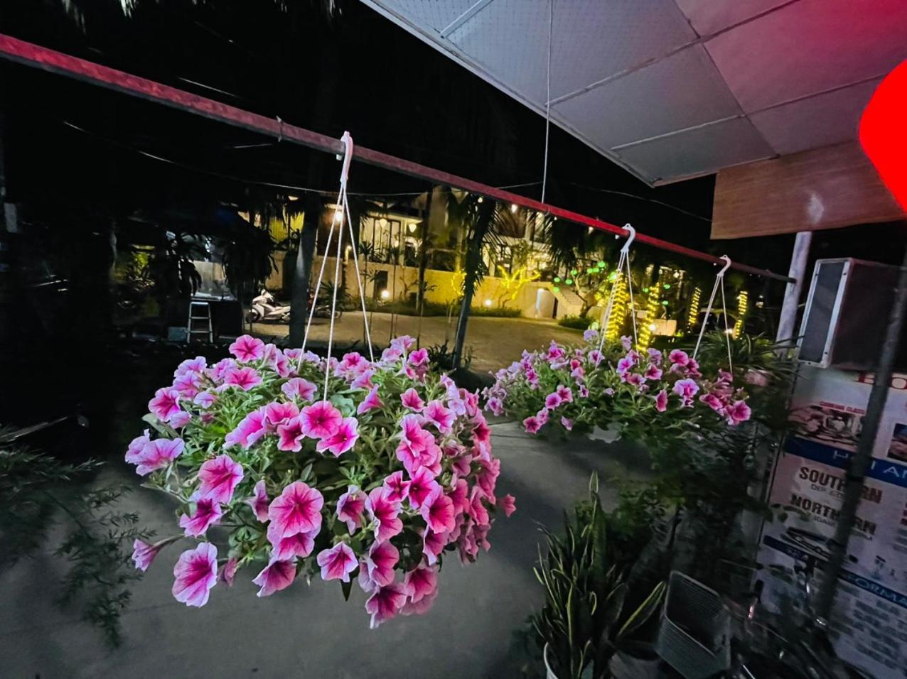 Cuong Thinh Homestay Hội An Ngoại thất bức ảnh