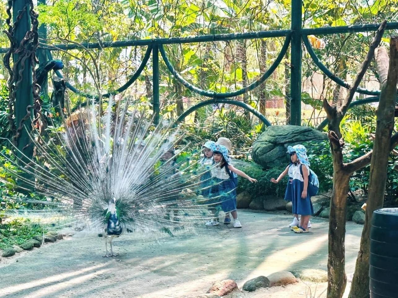 Cuong Thinh Homestay Hội An Ngoại thất bức ảnh